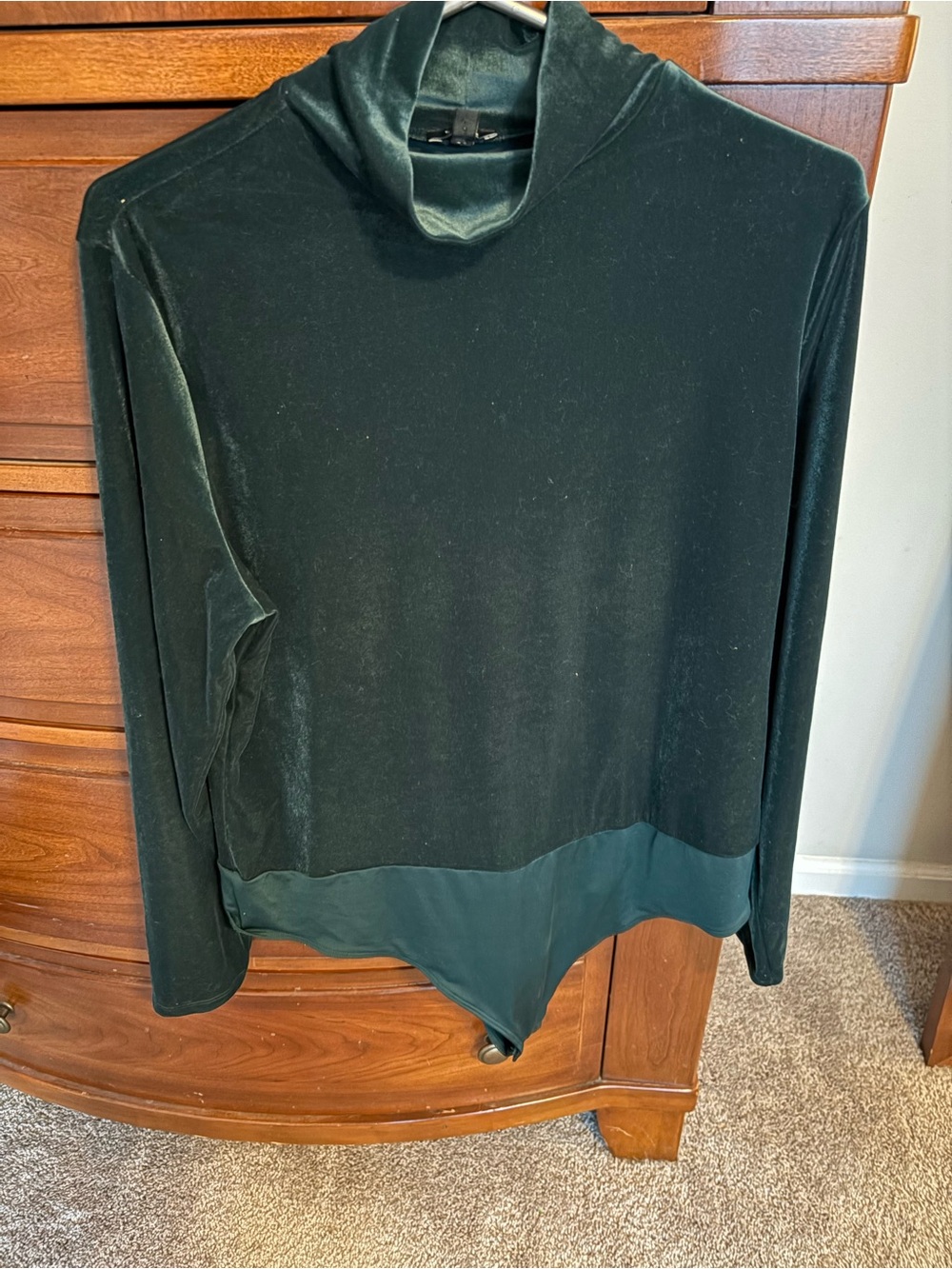 Express Dark Green Velvet Turtleneck Bodysuit